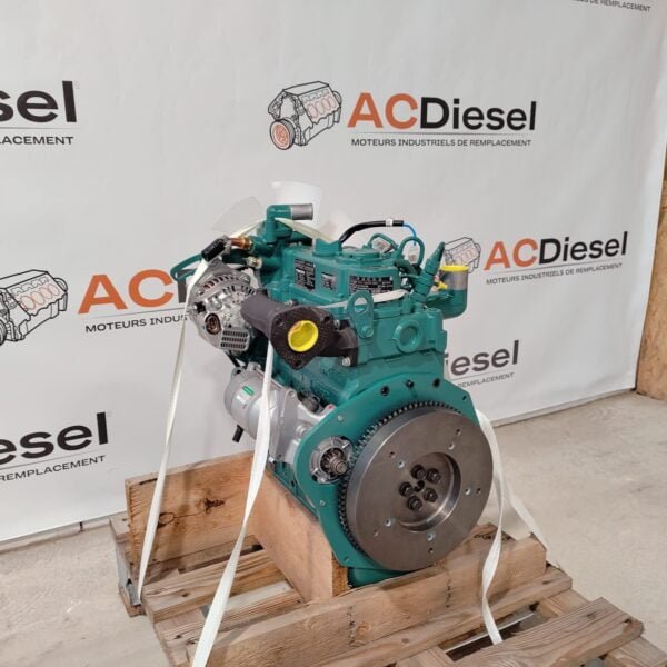 Moteur Kubota D902 Neuf - Image 15