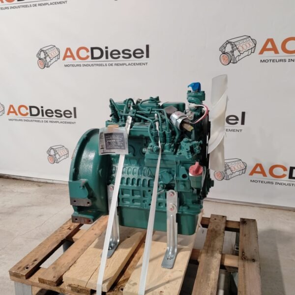 Moteur Kubota D902 Neuf - Image 3